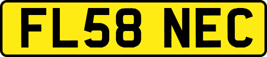 FL58NEC