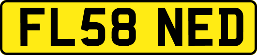 FL58NED