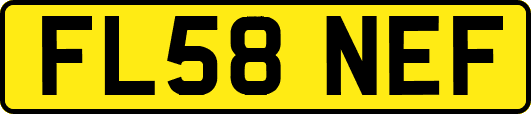 FL58NEF