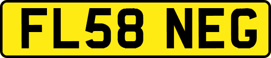 FL58NEG