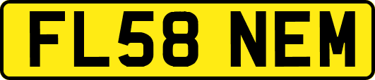 FL58NEM