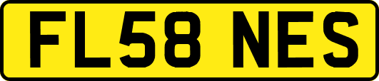 FL58NES