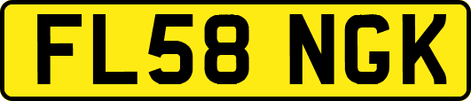 FL58NGK