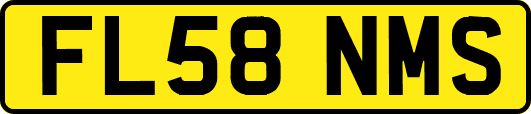 FL58NMS