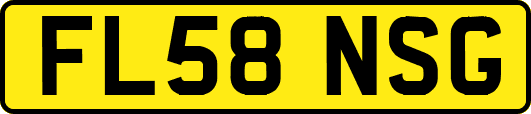 FL58NSG