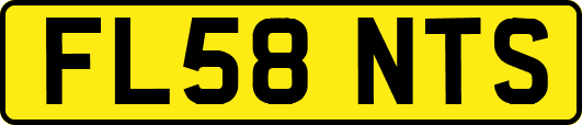 FL58NTS