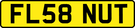 FL58NUT