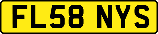 FL58NYS