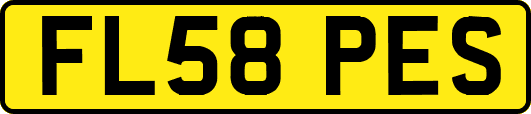 FL58PES