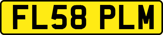FL58PLM