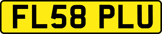 FL58PLU