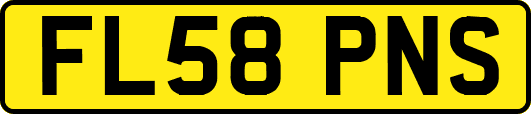 FL58PNS
