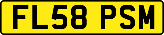 FL58PSM