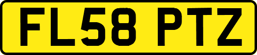 FL58PTZ