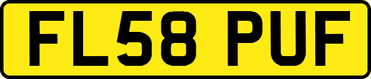 FL58PUF