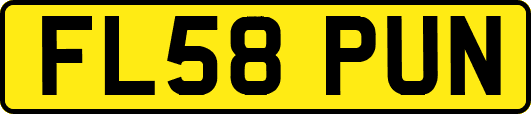 FL58PUN