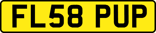 FL58PUP