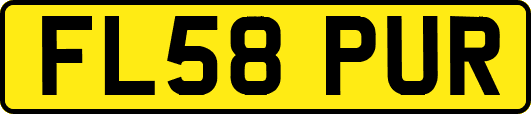 FL58PUR