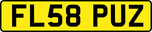 FL58PUZ