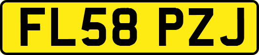 FL58PZJ