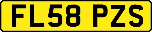 FL58PZS