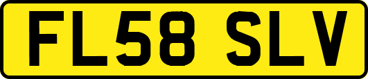 FL58SLV