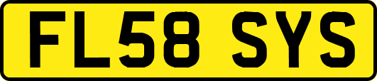 FL58SYS