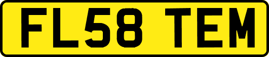 FL58TEM