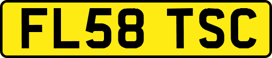 FL58TSC