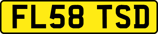 FL58TSD