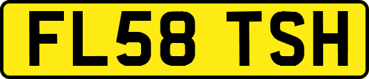 FL58TSH
