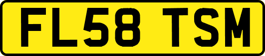 FL58TSM