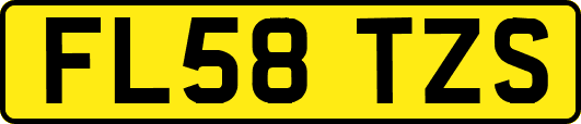 FL58TZS