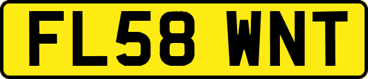 FL58WNT
