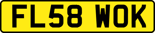 FL58WOK