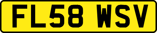 FL58WSV