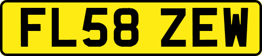 FL58ZEW