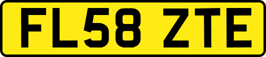 FL58ZTE