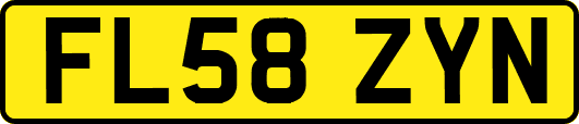 FL58ZYN