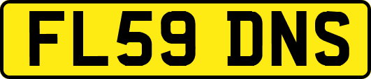FL59DNS