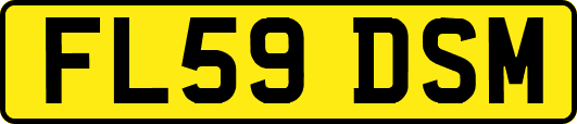 FL59DSM