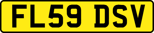 FL59DSV