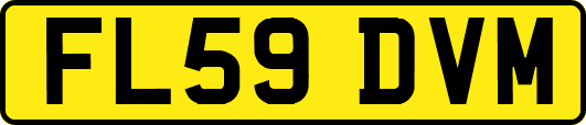 FL59DVM