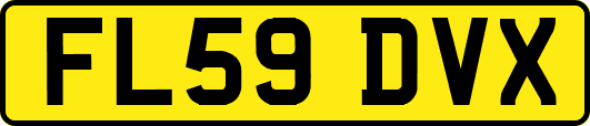 FL59DVX