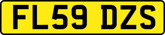 FL59DZS