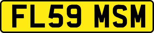 FL59MSM