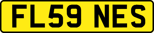 FL59NES