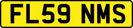 FL59NMS