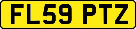 FL59PTZ