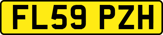 FL59PZH